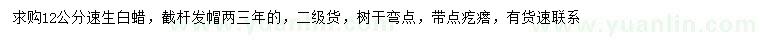 求購12公分速生白蠟