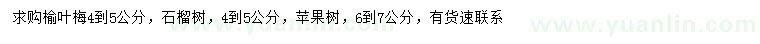 求購榆葉梅、石榴樹、蘋果樹