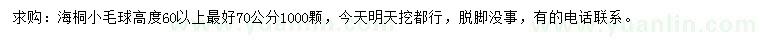 求購(gòu)高60以上70公分海桐毛球