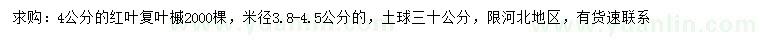 求購(gòu)米徑3.8-4.5公分紅葉復(fù)葉槭