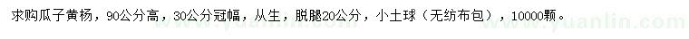 求購(gòu)高90公分叢生瓜子黃楊