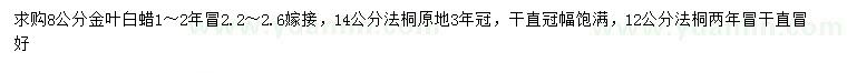 求購8公分金葉白蠟、12、14公分法桐