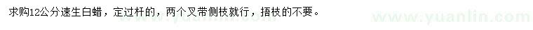 求購12公分速生白蠟