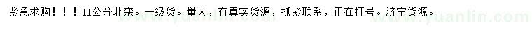 求購11公分北欒
