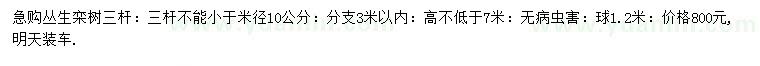 求購高不低于7米叢生欒樹