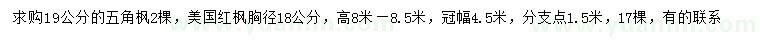 求購19公分五角楓、胸徑18公分美國紅楓
