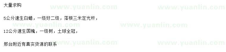 求購5公分速生白蠟、12公分速生國槐