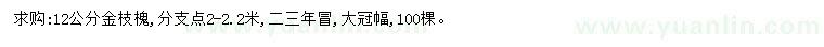 求購12公分金枝槐