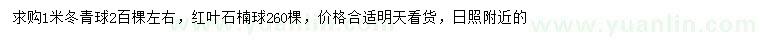 求購1米冬青球、紅葉石楠球