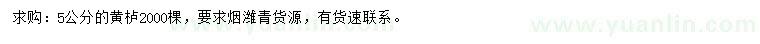 求購5公分黃櫨