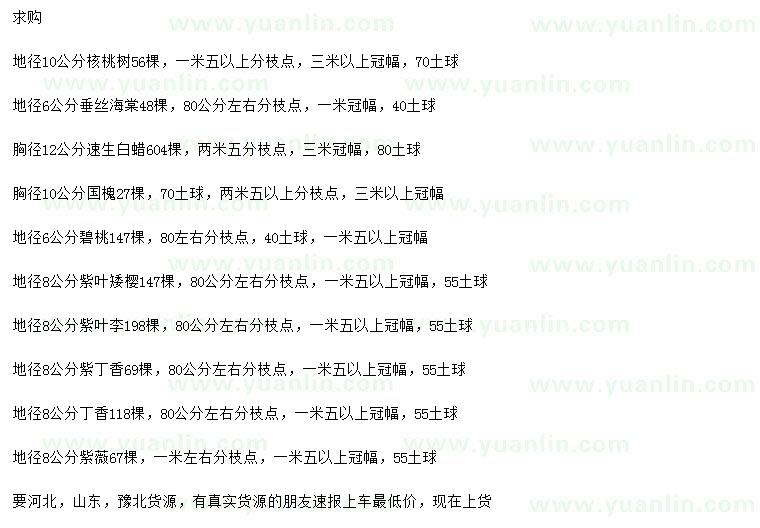 求購核桃樹、垂絲海棠、速生白蠟等