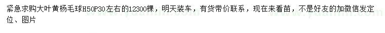 求購冠幅30公分大葉黃楊球
