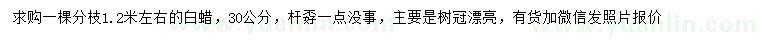 求購30公分白蠟