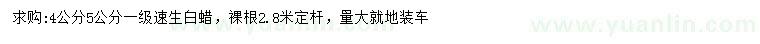 求購4、5公分速生白蠟