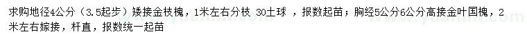 求購(gòu)地徑3.5公分以上金枝槐、胸徑5、6公分高接金葉國(guó)槐