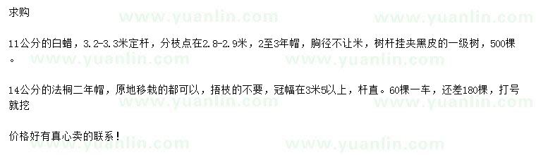 求購11公分白蠟、14公分法桐