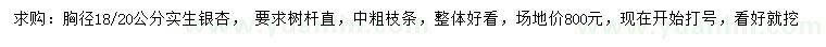 求購(gòu)胸徑18、20公分銀杏