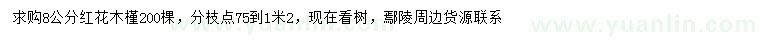 求購8公分紅花木槿