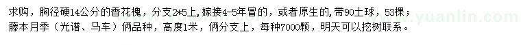 求購(gòu)胸徑14公分香花槐、高1米藤本月季