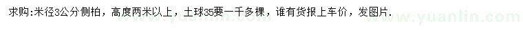 求購米徑3公分側柏