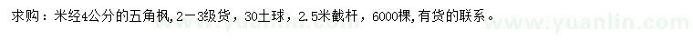 求購米徑4公分五角楓