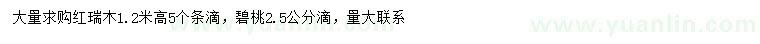 求購(gòu)高1.2米紅瑞木、2.5公分碧桃