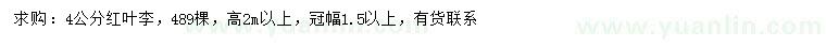 求購4公分紅葉李