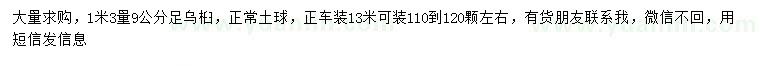 求購1.3米量9公分烏桕