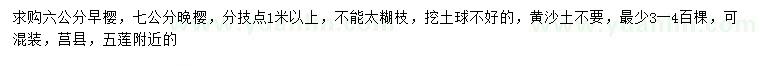 求購6、7公分晚櫻