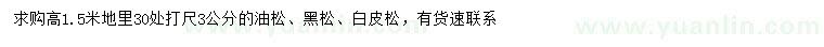 求購(gòu)油松、黑松、白皮松