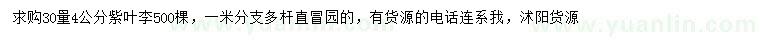求購30量4公分紫葉李