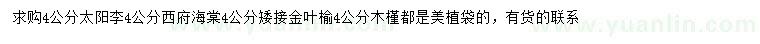 求購(gòu)太陽(yáng)李、西府海棠、金葉榆等