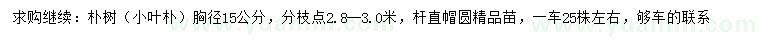 求購胸徑15公分小葉樸