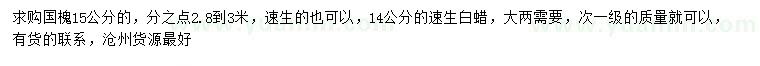 求購15公分國槐、14公分速生白蠟