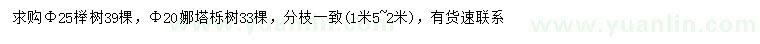 求購胸徑25公分櫸樹、胸徑20公分娜塔櫟
