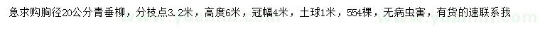 求購胸徑20公分青垂柳