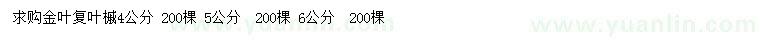 求購(gòu)456公分金葉復(fù)葉槭