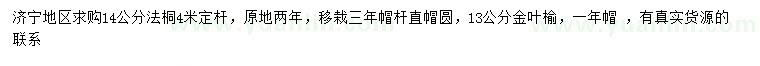 求購14公分法桐、13公分金葉榆