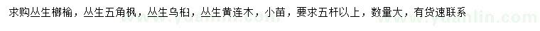 求購(gòu)叢生榔榆、叢生五角楓、叢生烏桕等