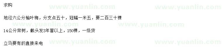 求購地徑6公分榆葉梅、14公分欒樹