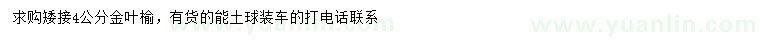 求購(gòu)4公分金葉榆