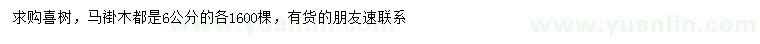 求購6公分喜樹、馬褂木