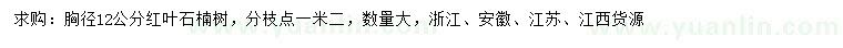 求購胸徑12公分紅葉石楠
