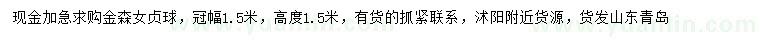 求購冠幅1.5米金森女貞球