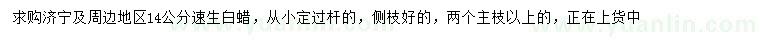 求購14公分速生白蠟