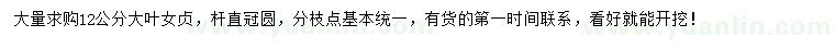 求購12公分大葉女貞