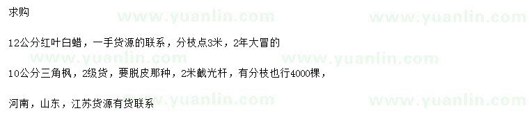 求購12公分紅葉白蠟、10公分三角楓