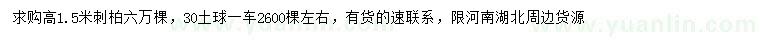 求購高1.5米刺柏