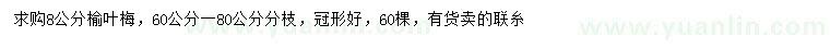求購8公分榆葉梅