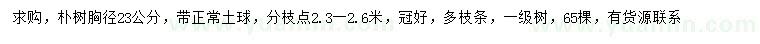 求購(gòu)胸徑23公分樸樹(shù)